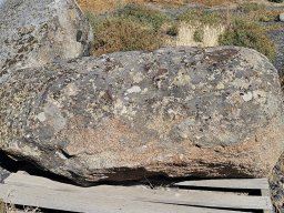 Elkhorn Granite Lichen Boulder